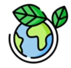 understanding the organisation and its context