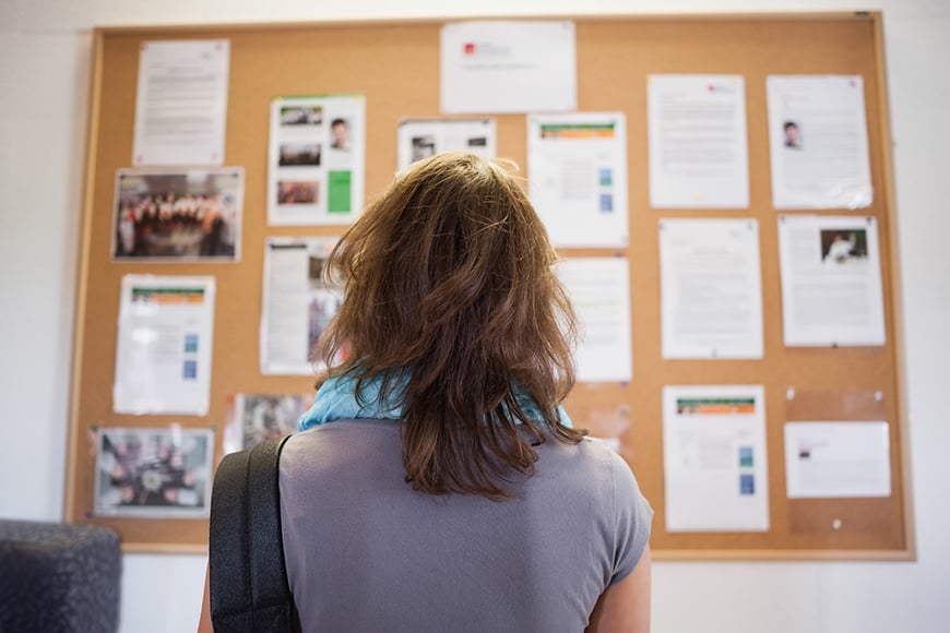 lady looking at a staff notice board