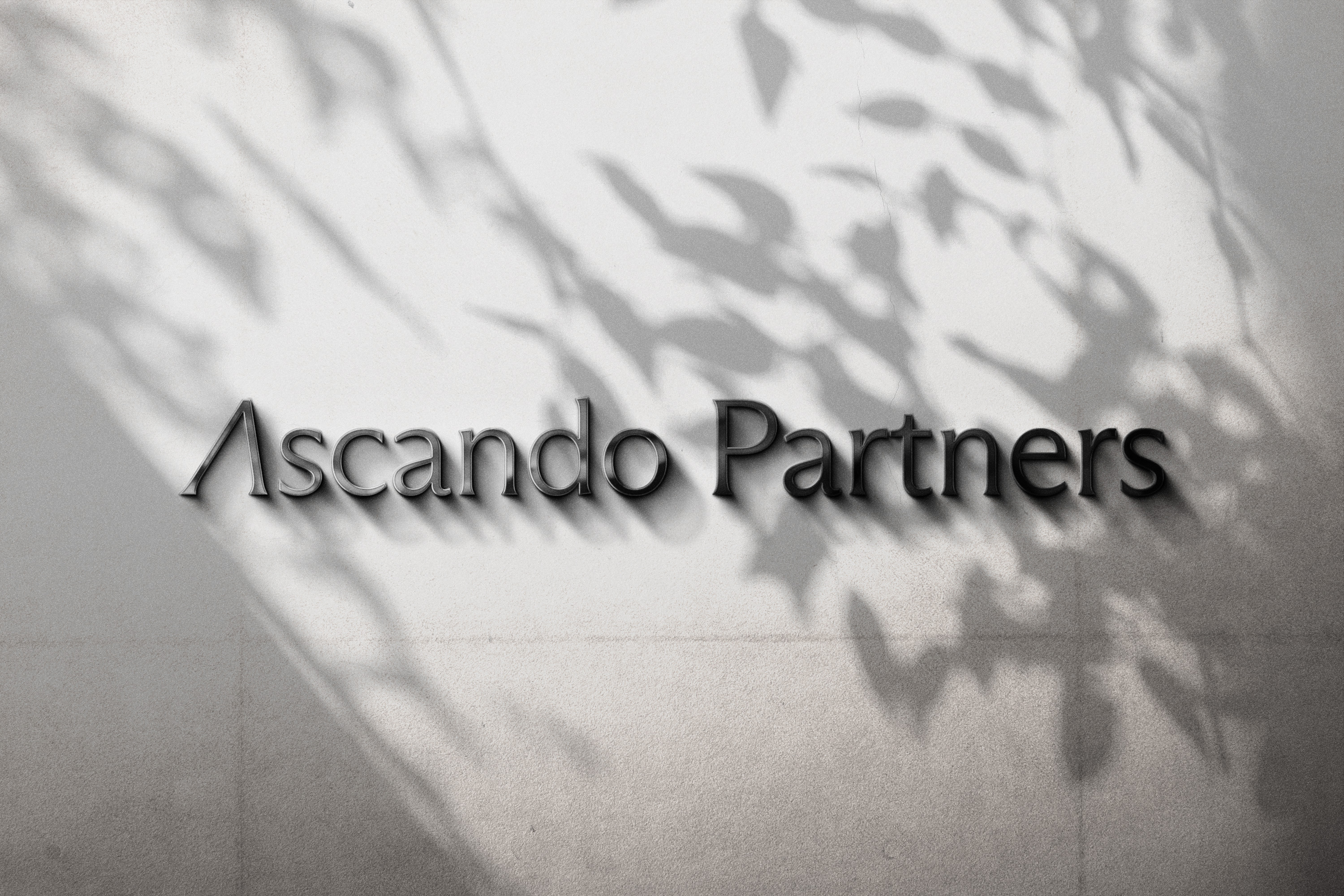 Wall with the text 'Ascando Partners' and shadows of leaves cast over it.