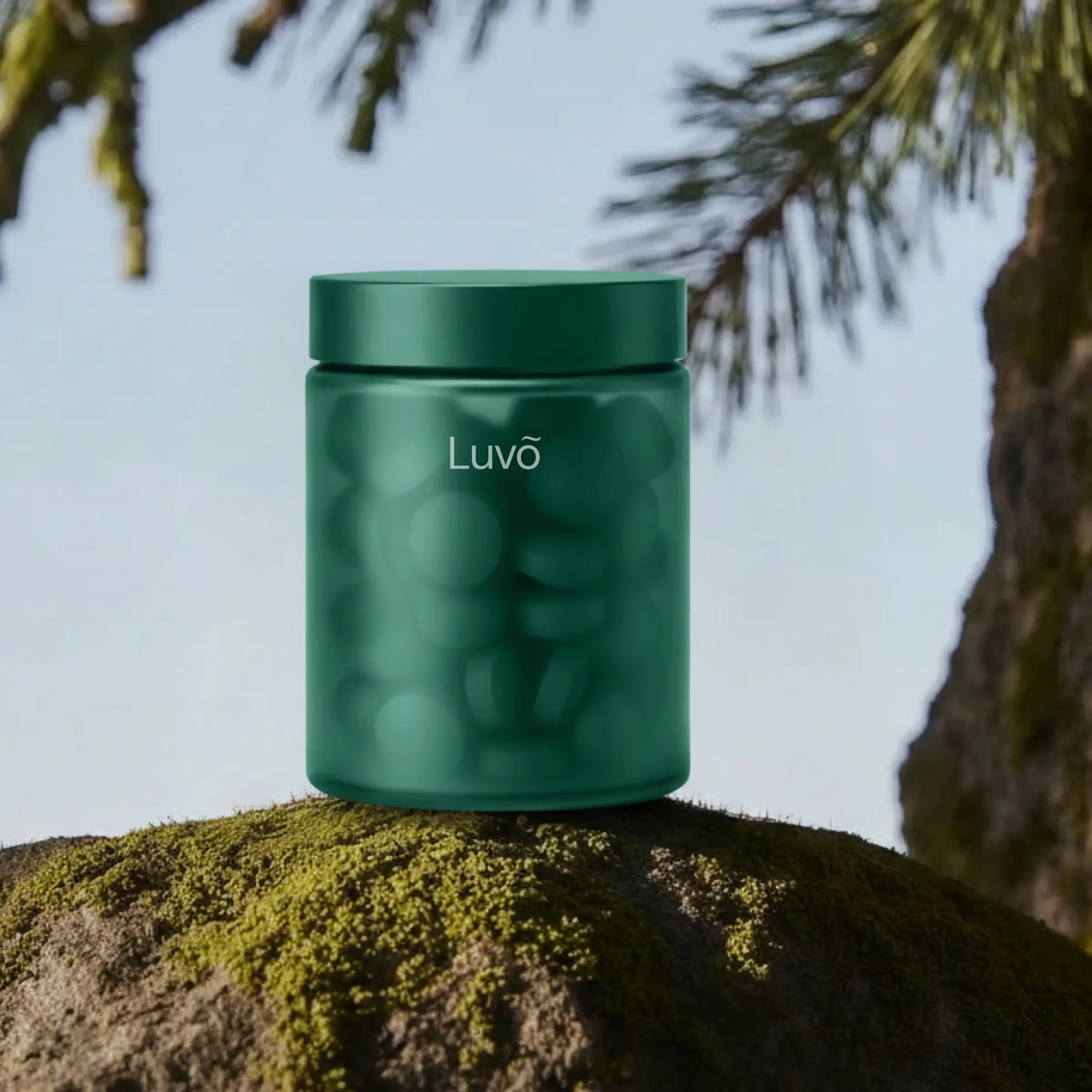 Bottle of semaglutide tablets representing oral weight loss treatment