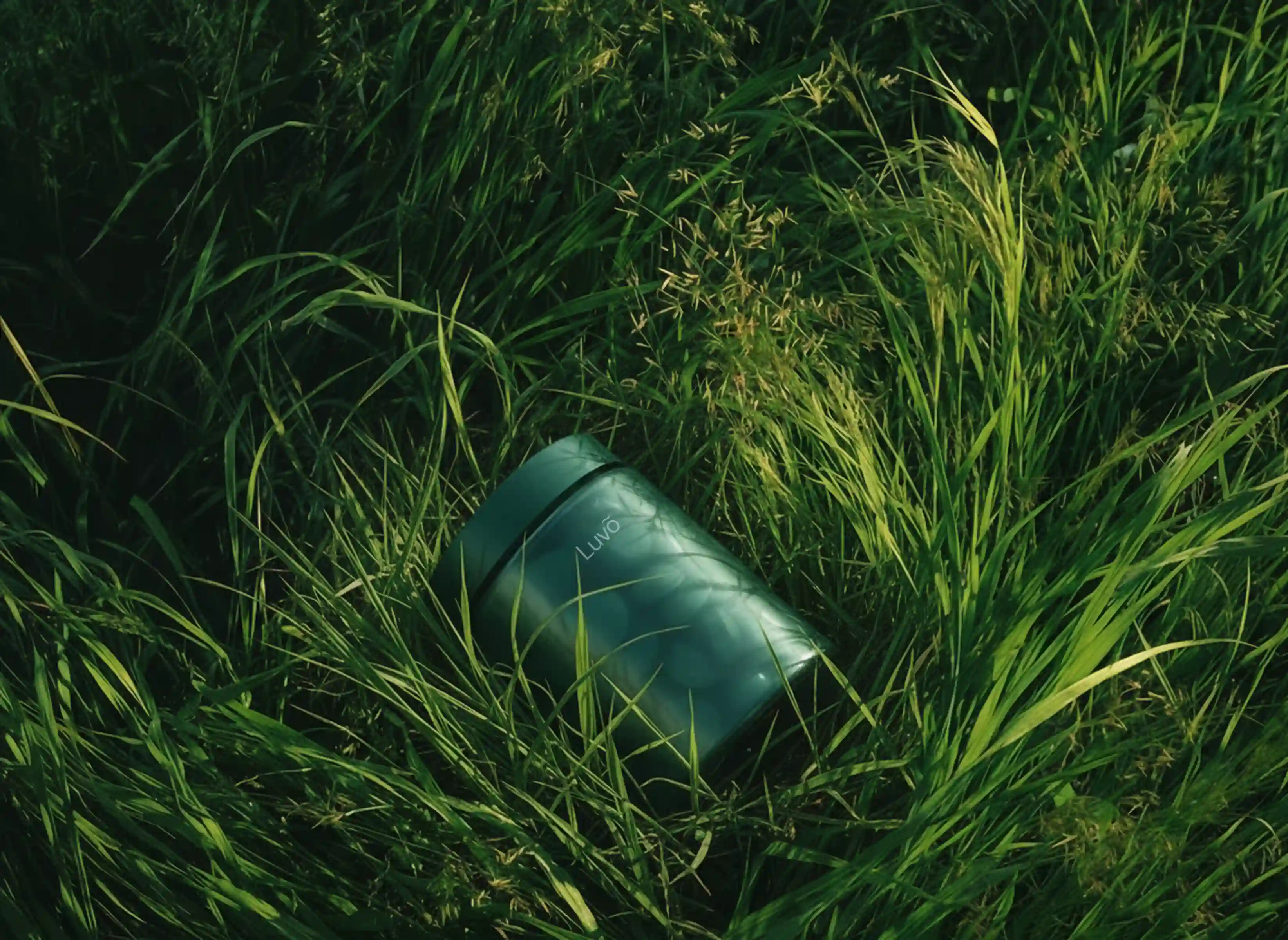 Bottle of semaglutide tablets in grass representing oral weight loss treatment