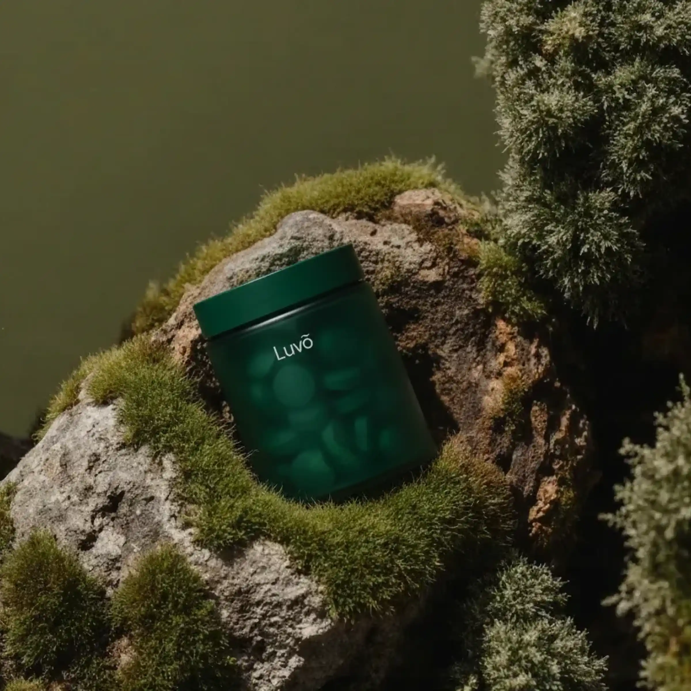 Illustrative tirzepatide tablet container on moss from a wider angle