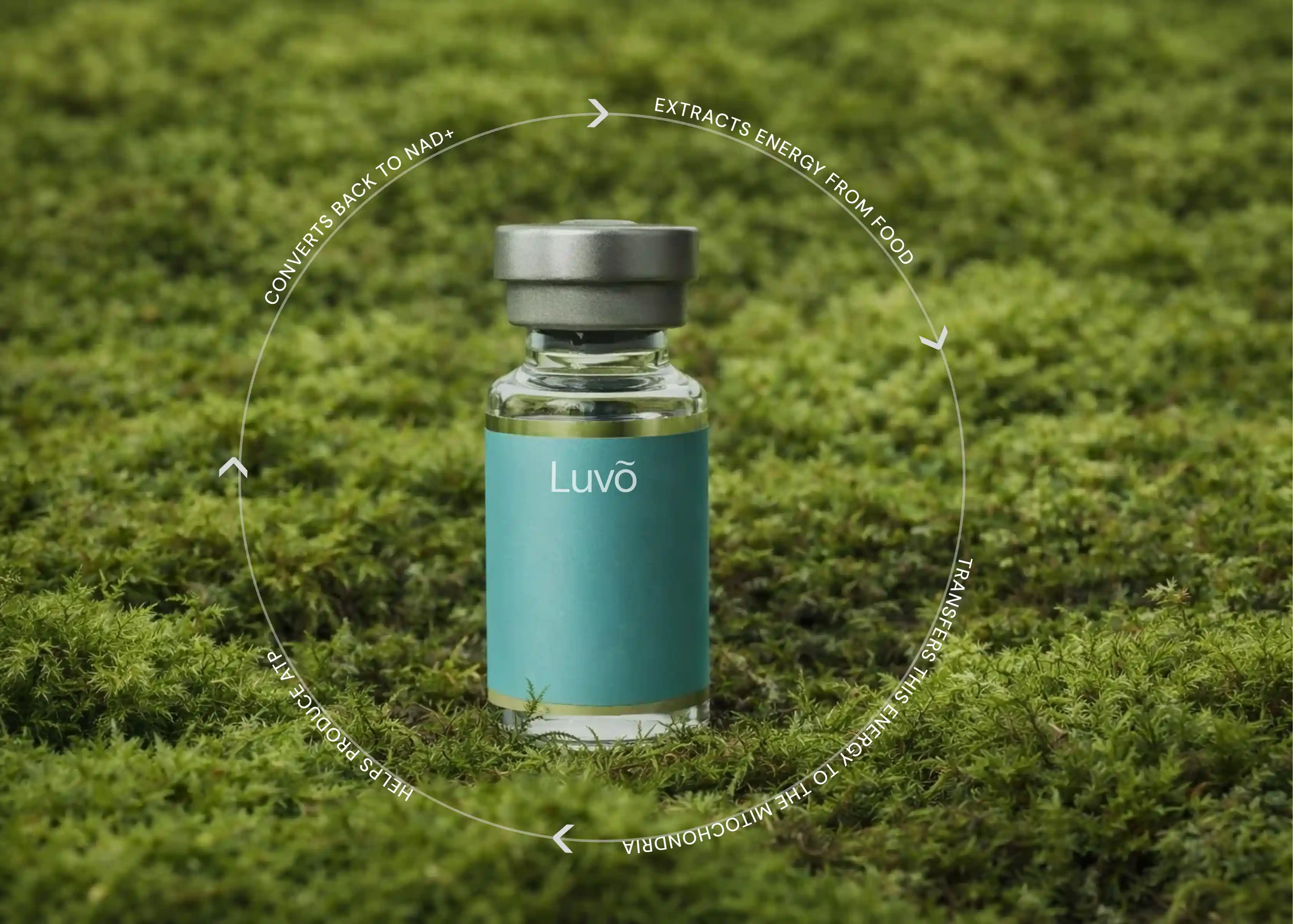 NAD+ injection vial representing cellular energy support