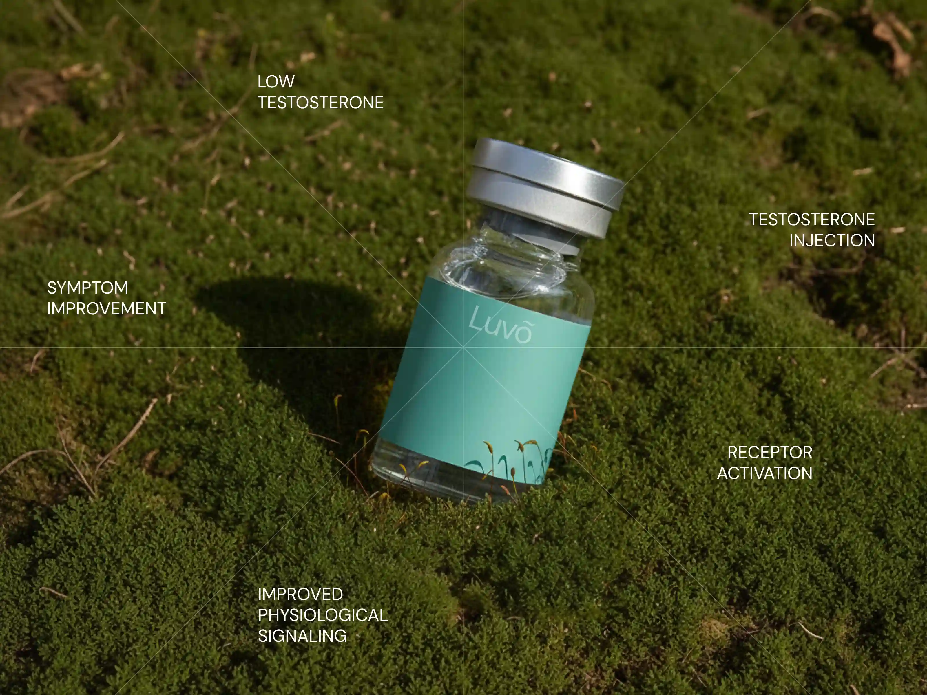 Testosterone injection vial representing hormone restoration and physiologic support