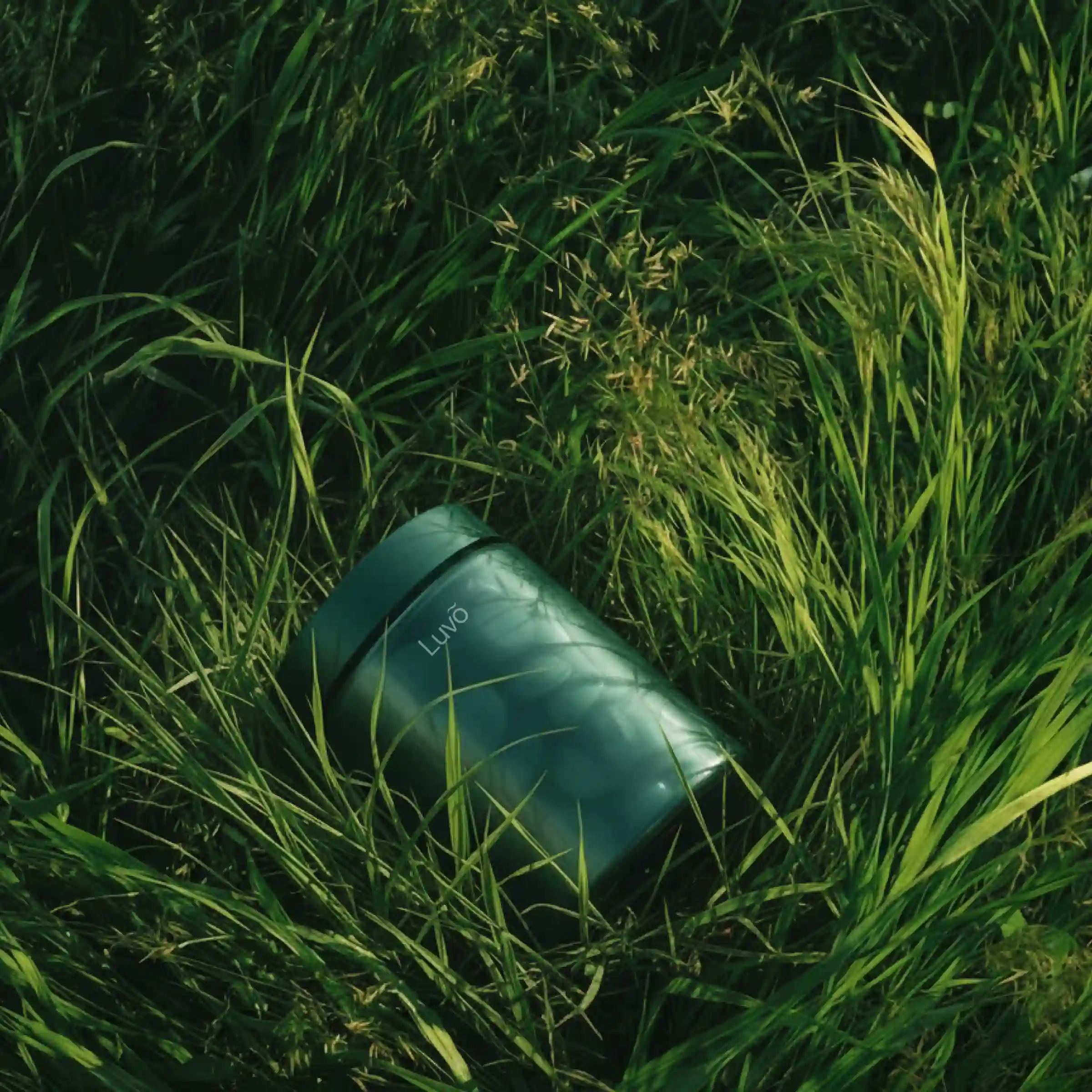 Bottle of estradiol tablets in grass
