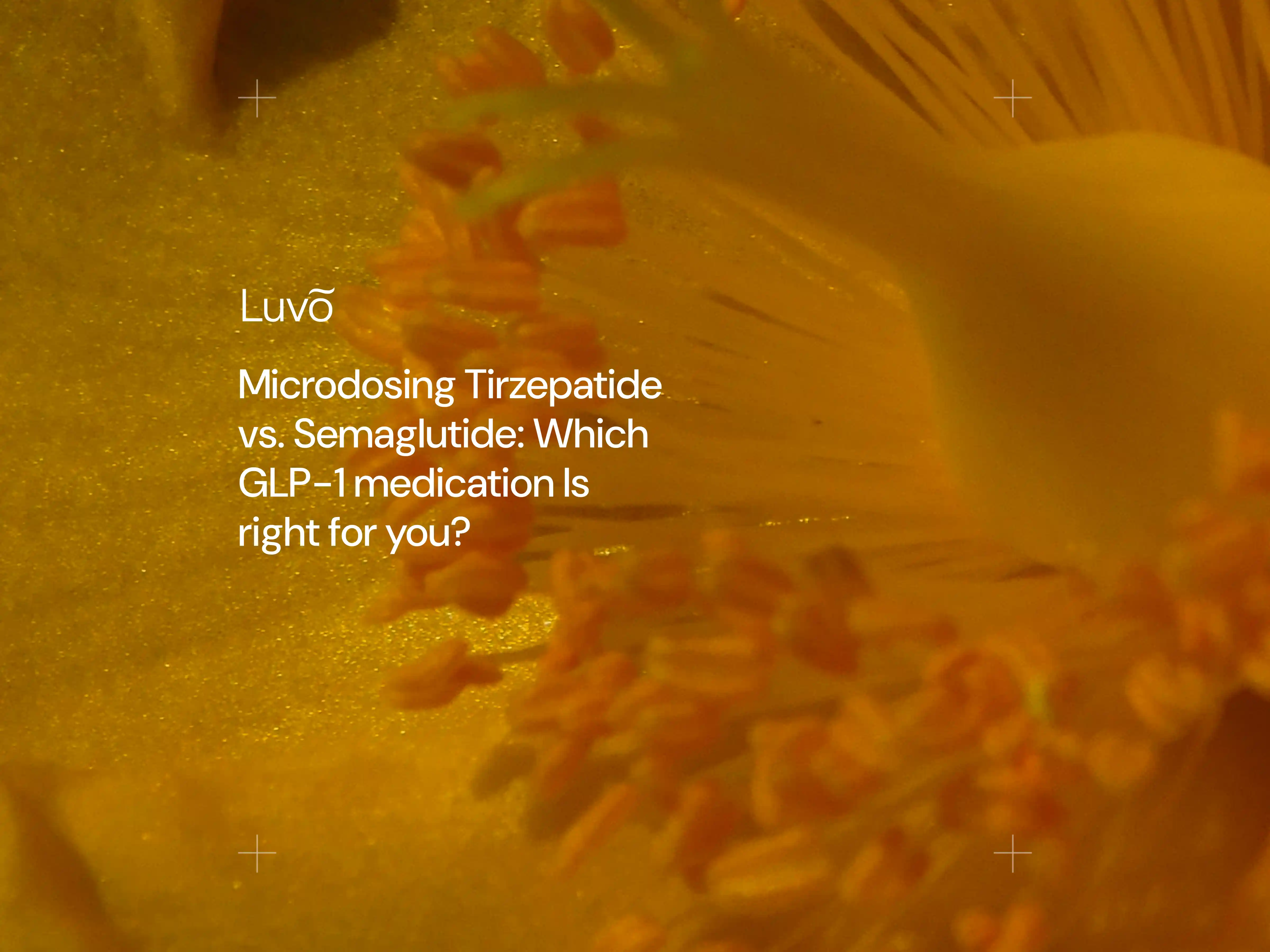 Microdosing Tirzepatide vs. Semaglutide: Which GLP-1 medication is right for you?