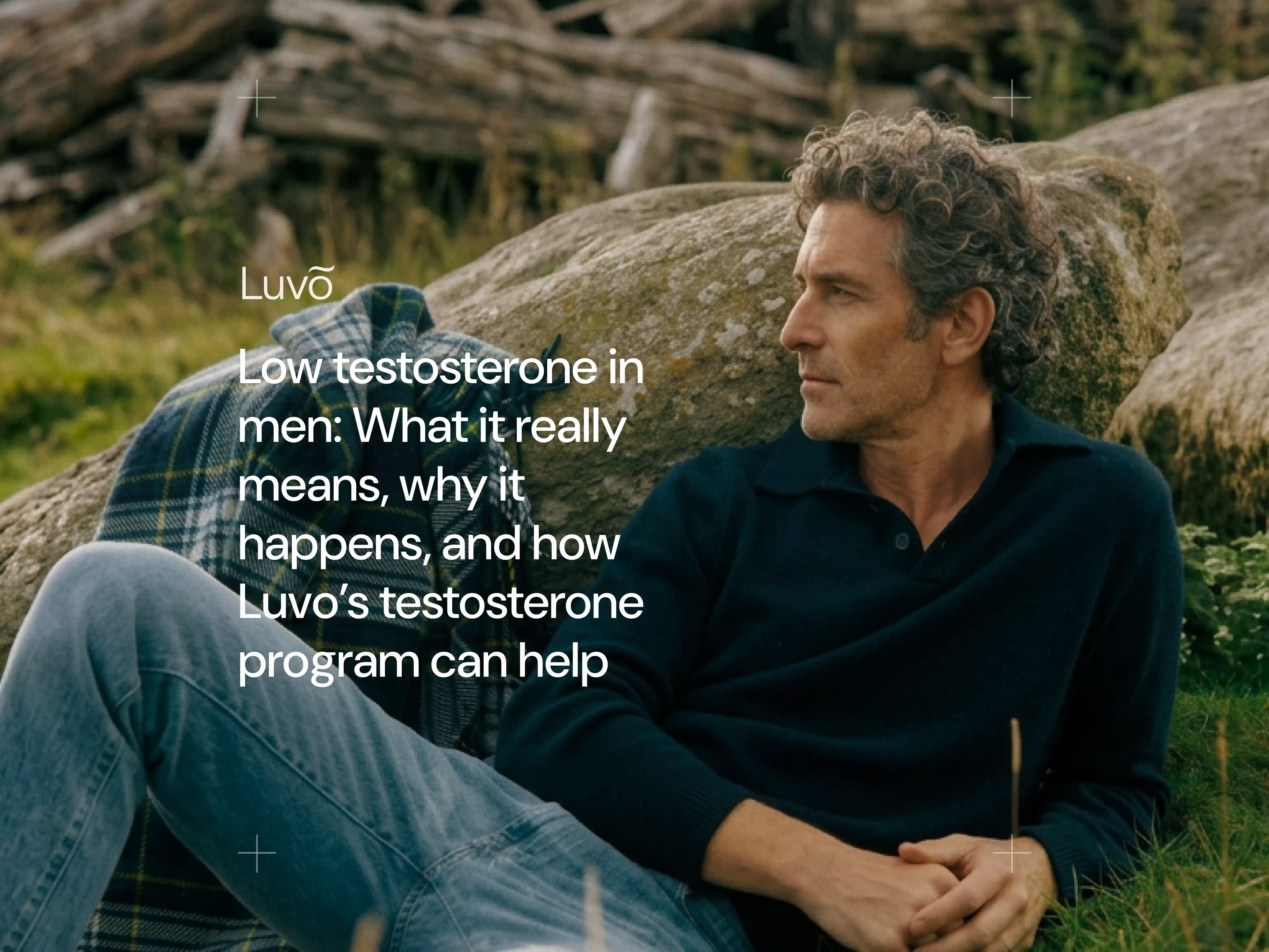 Low testosterone in men: What it really means, why it happens, and how luvo’s testosterone program can help