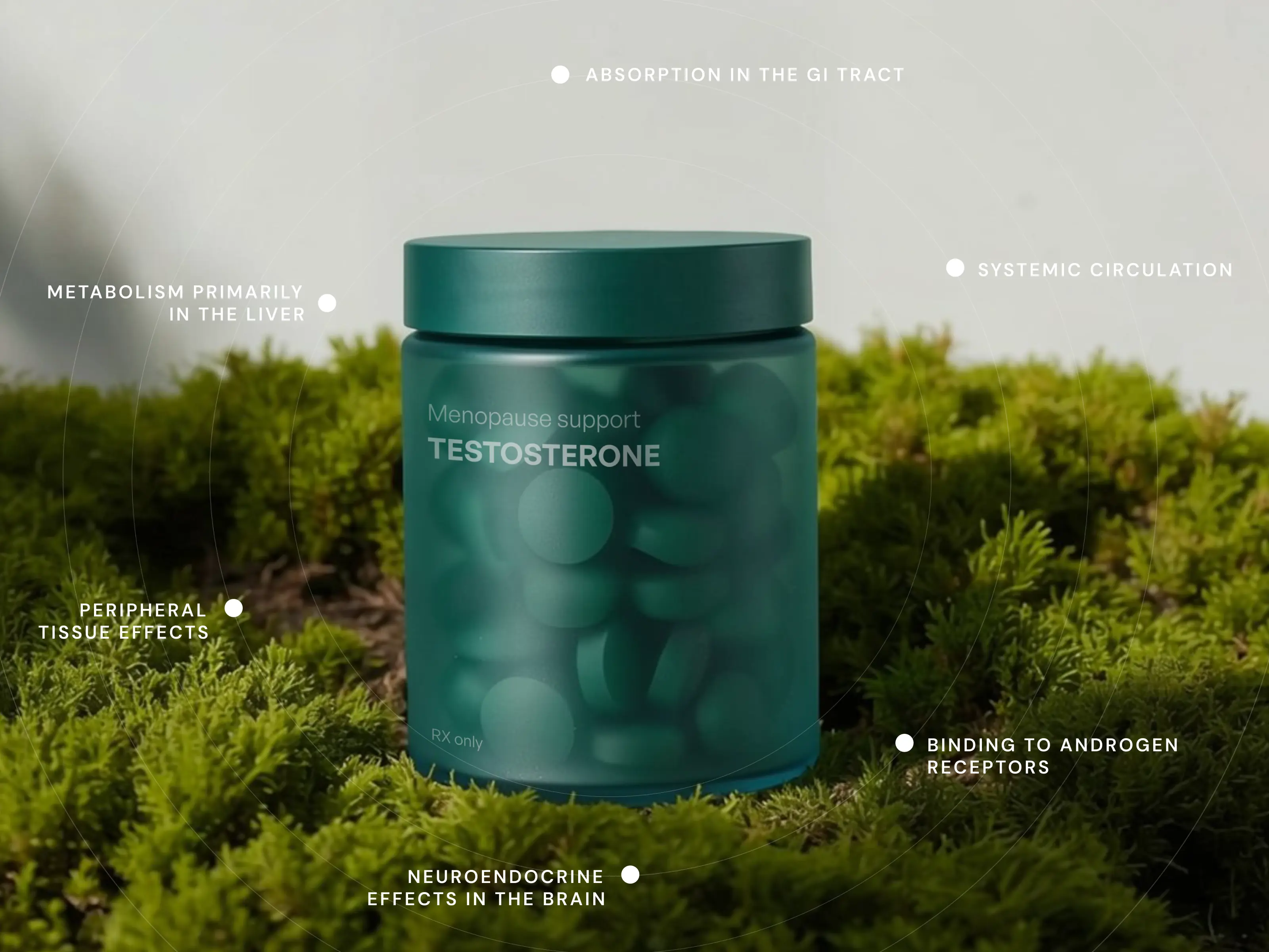 How do Testosterone Tablets work?