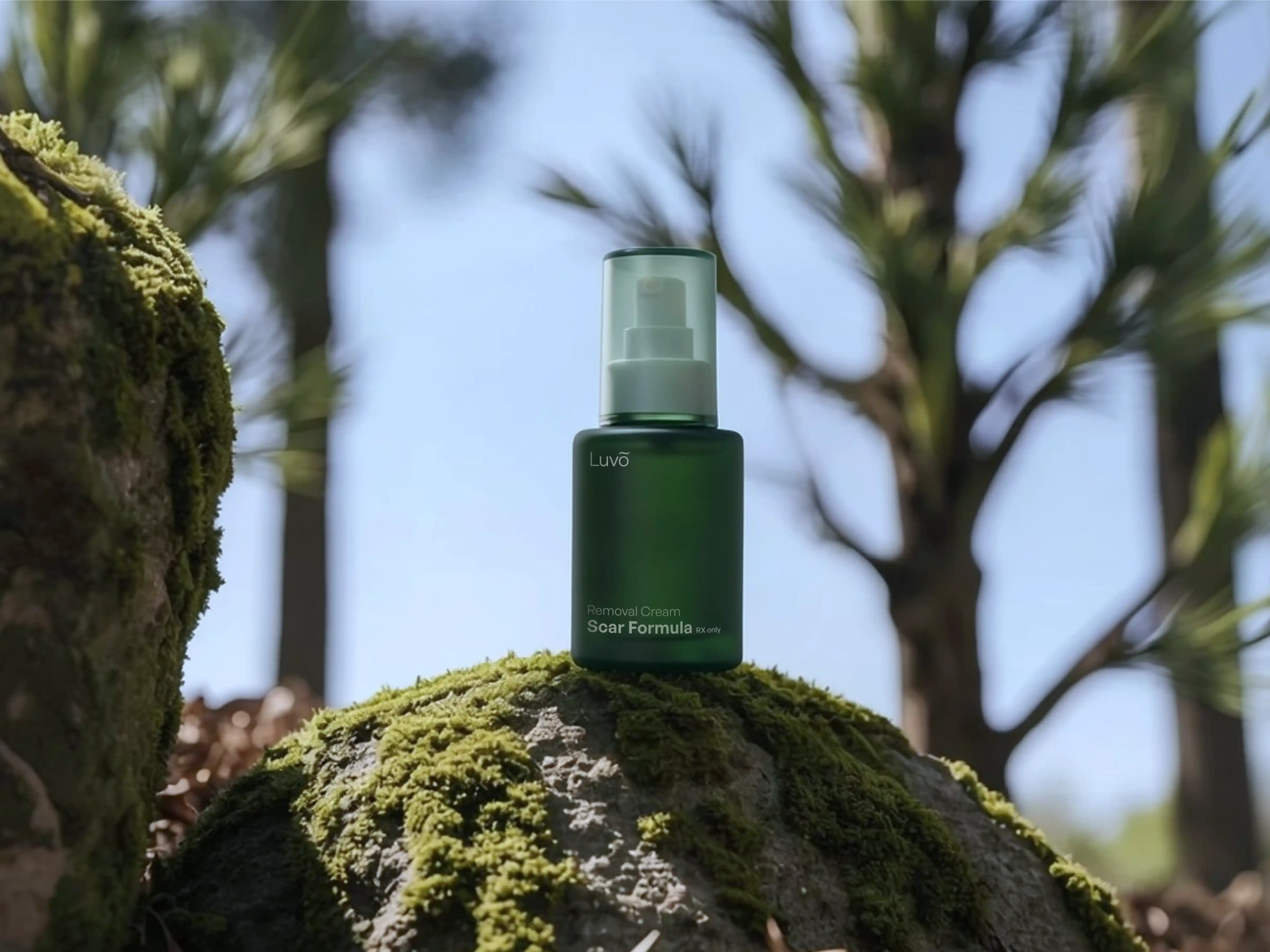 What is Scar Formula?