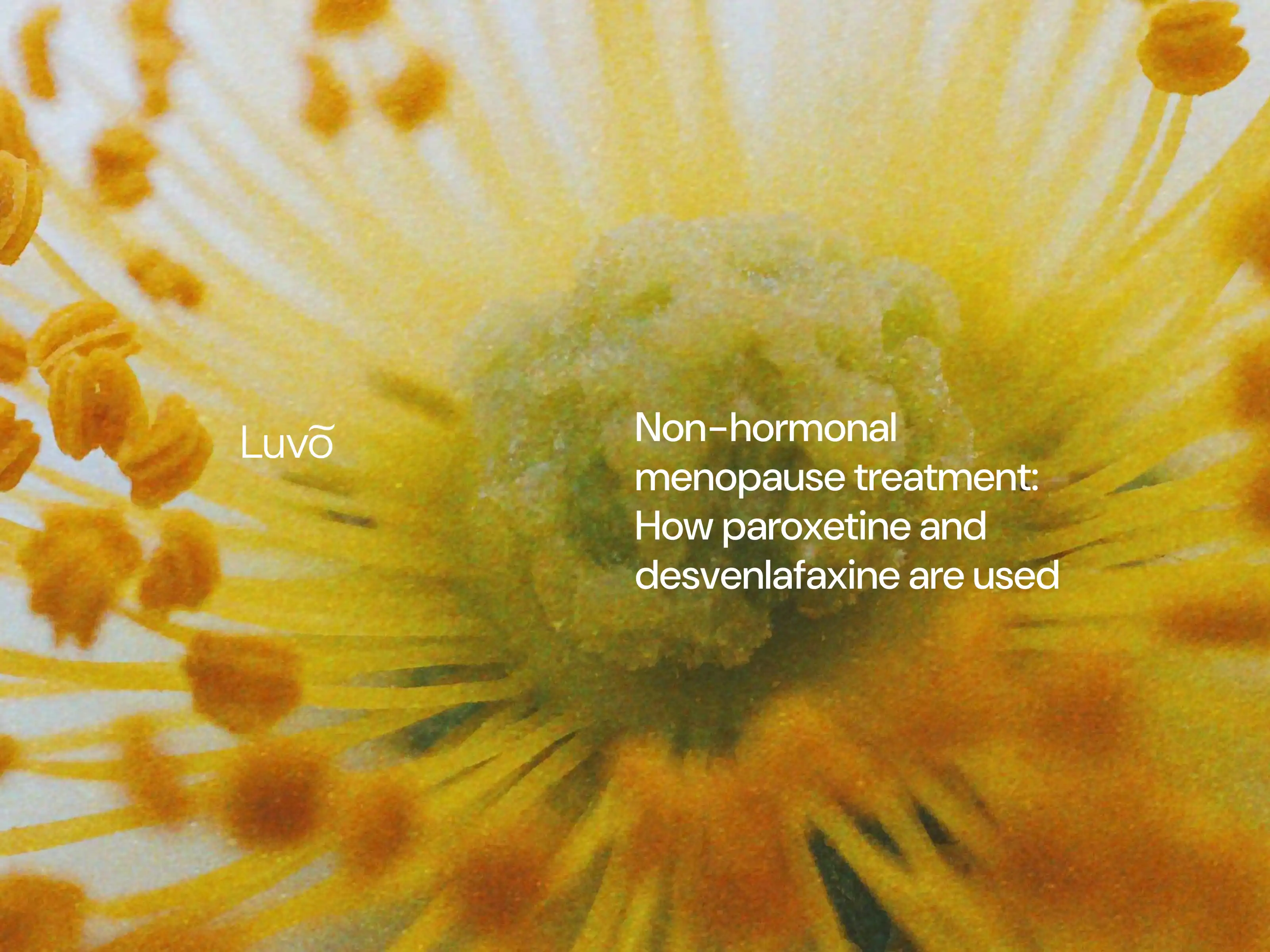 Non-hormonal menopause treatment: How paroxetine and desvenlafaxine are used