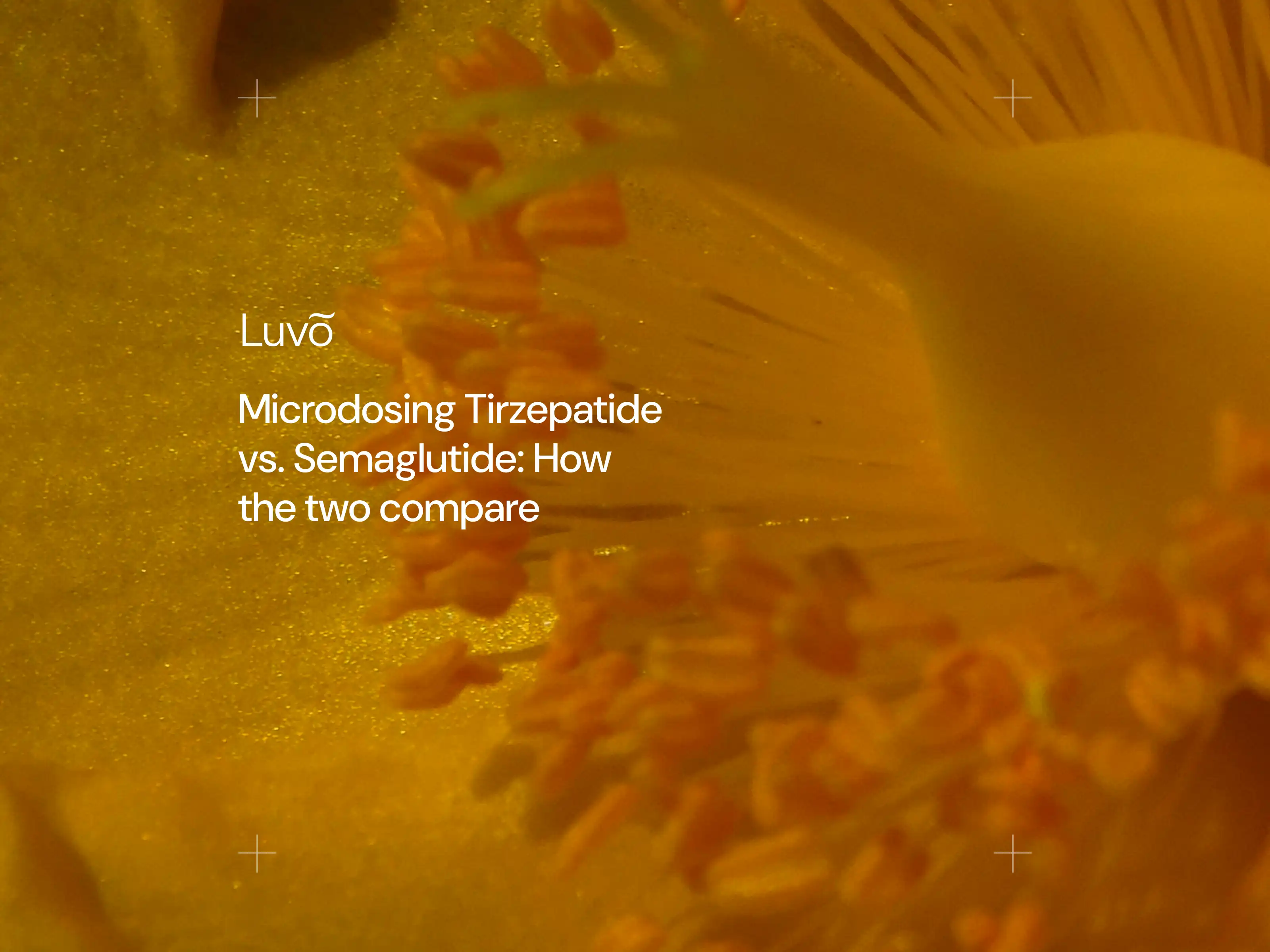 Microdosing tirzepatide vs. semaglutide: How the two compare