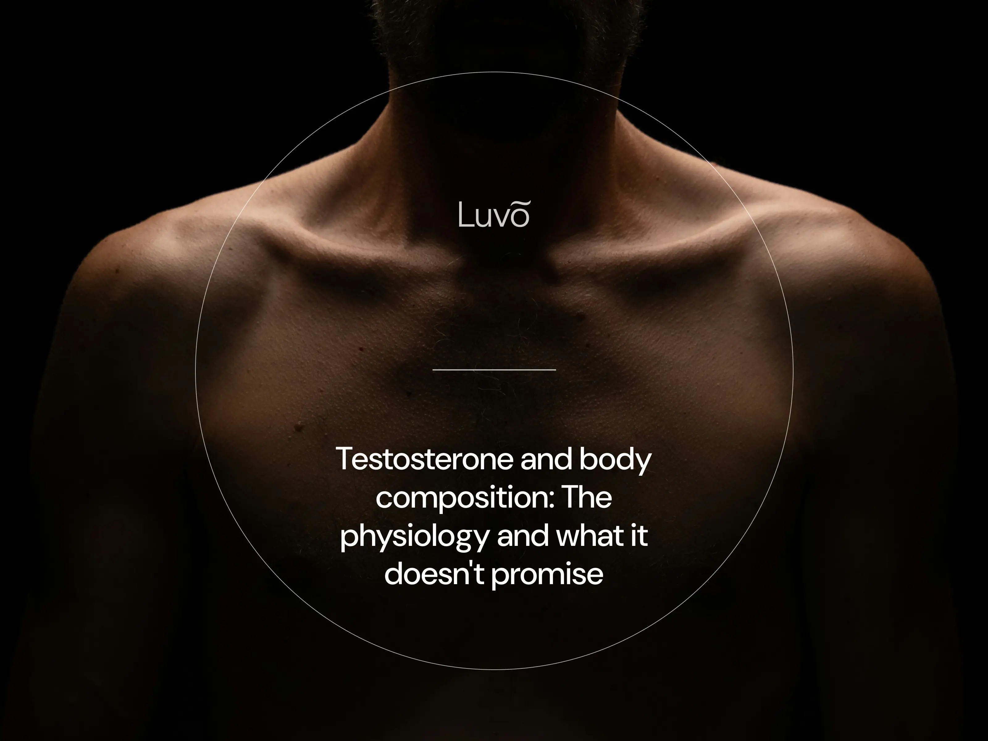 Testosterone and body composition: The physiology and what it doesn't promise