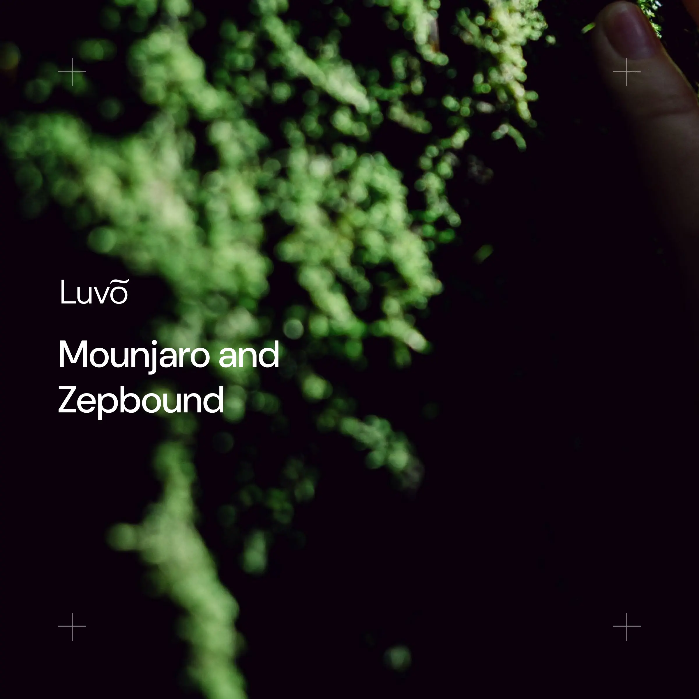 Mounjaro and Zepbound are the same molecule. So what's different?