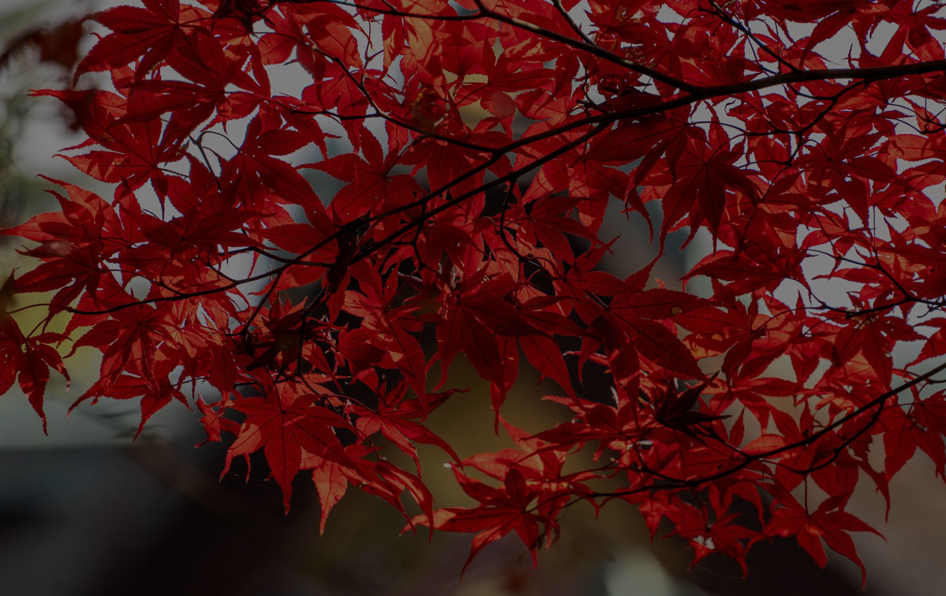 Locational Astrology