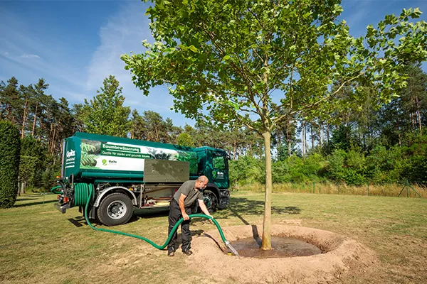 Mann bewässert einen frisch gepflanzten Baum mit einem Schlauch aus einem Wassertankfahrzeug in einer Parklandschaft.