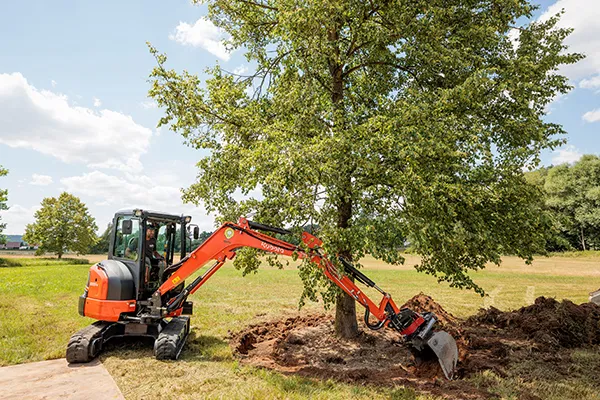 Kompakter oranger Minibagger gräbt um einen Baum auf einem grasbewachsenen Feld.