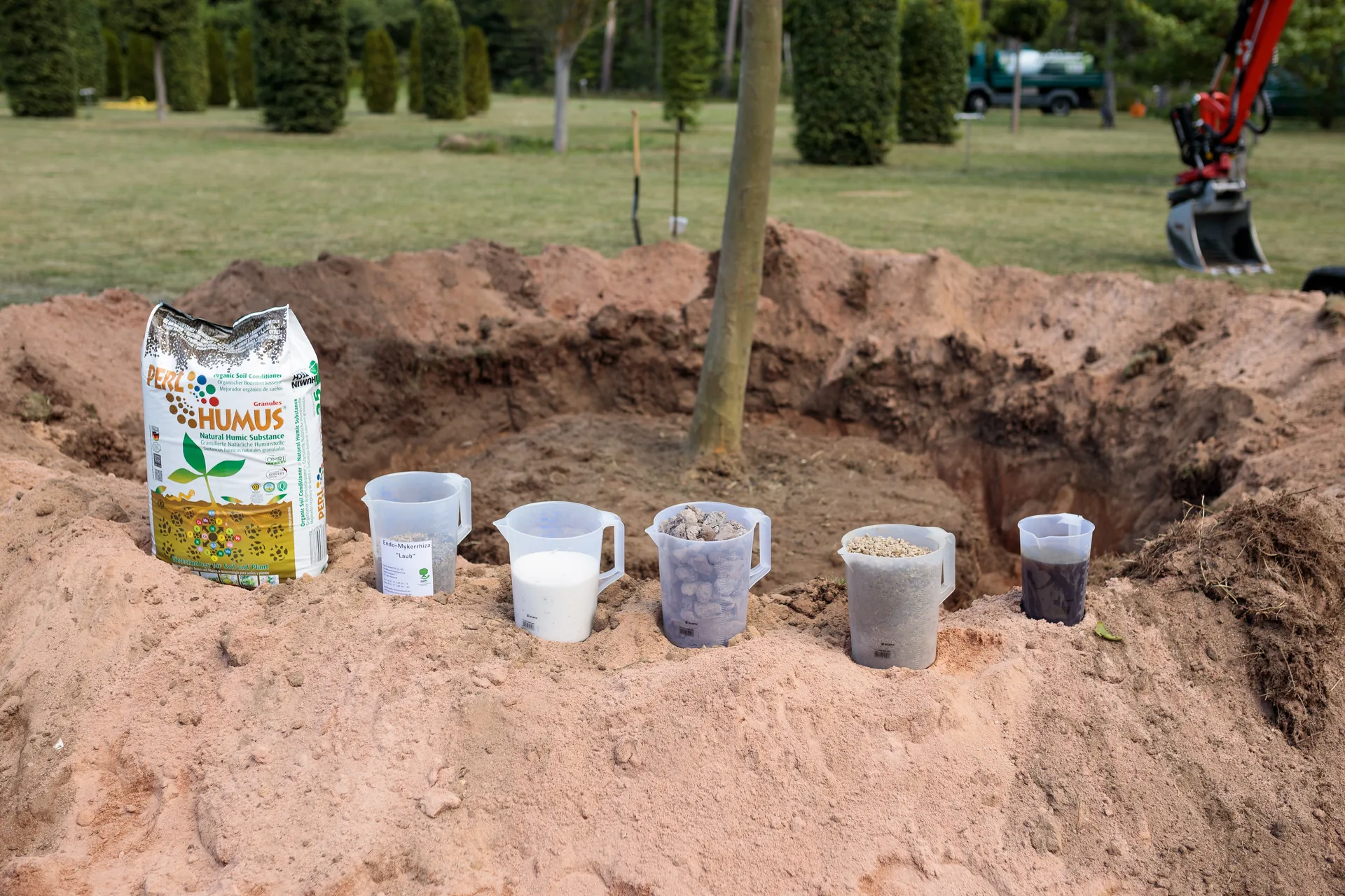 Verschiedene Substrate und Flüssigkeiten zur Baumvitalisierung neben einem frisch gepflanzten Baum in einem Park.