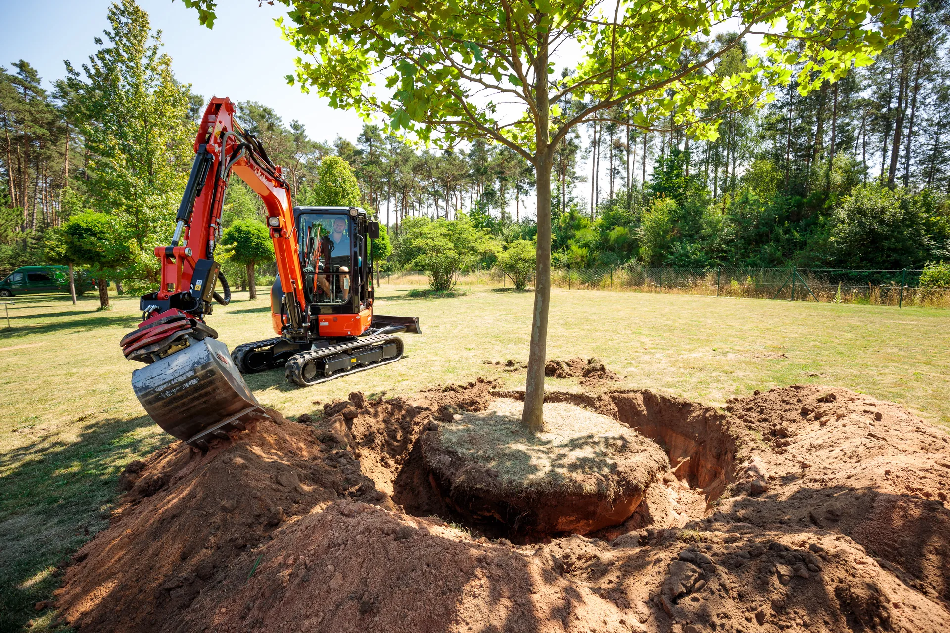 Ein Bagger hebt einen Baum mit erdumhülltem Wurzelballen in einer sonnigen Parklandschaft aus.