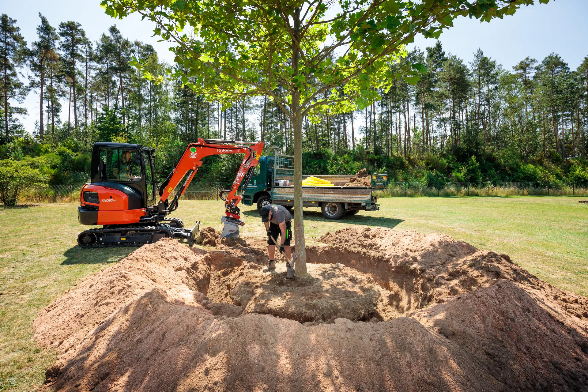 Mann gräbt rund um einen großen Baum mit einer Schaufel, während ein orangefarbener Minibagger die Erde aufnimmt, ein LKW im Hintergrund geladener Erde und Rohre.
