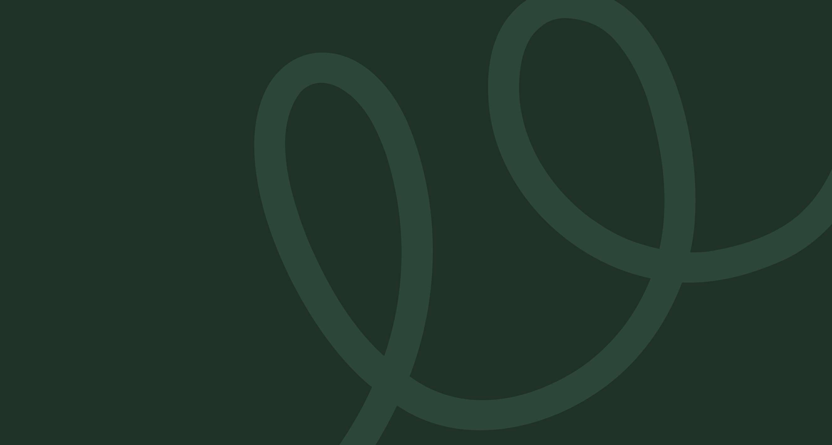 Single Project Image