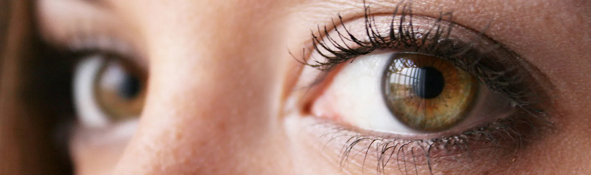 Bulb – Renewable Resources