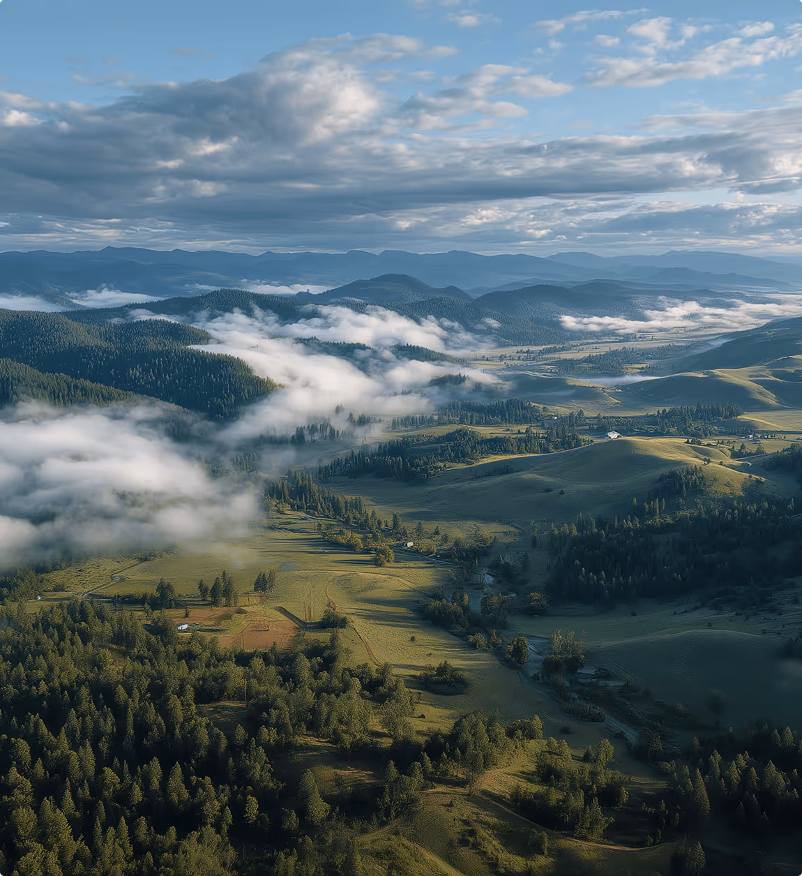 Aerial view of a green valley with scattered trees, low fog drifting over hills, and distant mountain ranges under a cloudy sky.