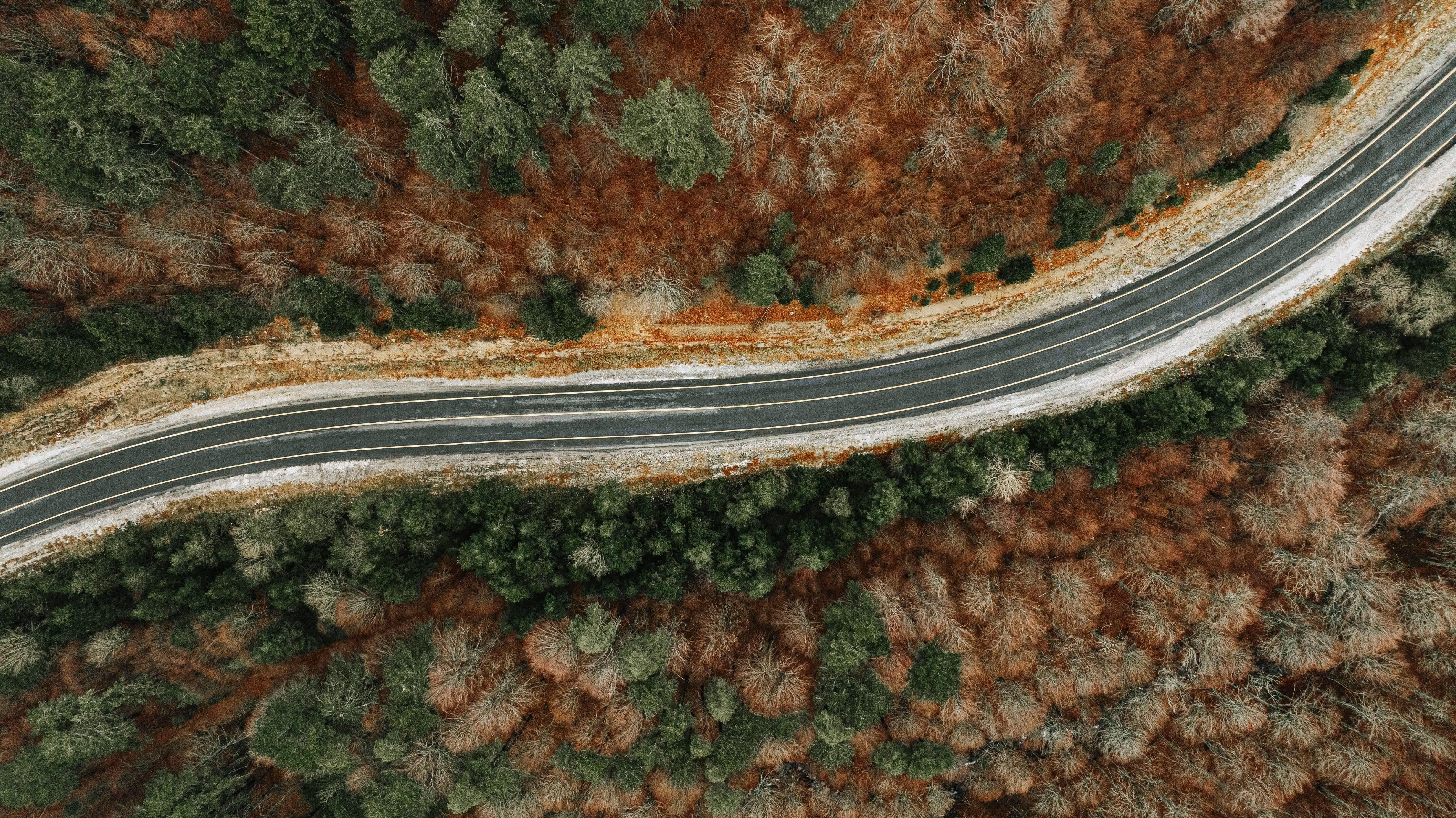 A winding two-lane road cutting through a forest with green and brown foliage in late autumn or early winter.