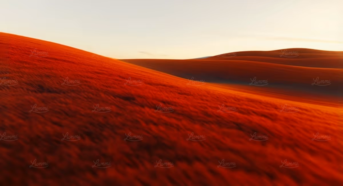 Expansive desert dunes glowing orange under soft sunlight at sunset.