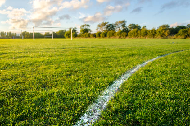 Campo da calcio in erba con linea bianca laterale in primo piano e porta sullo sfondo al tramonto