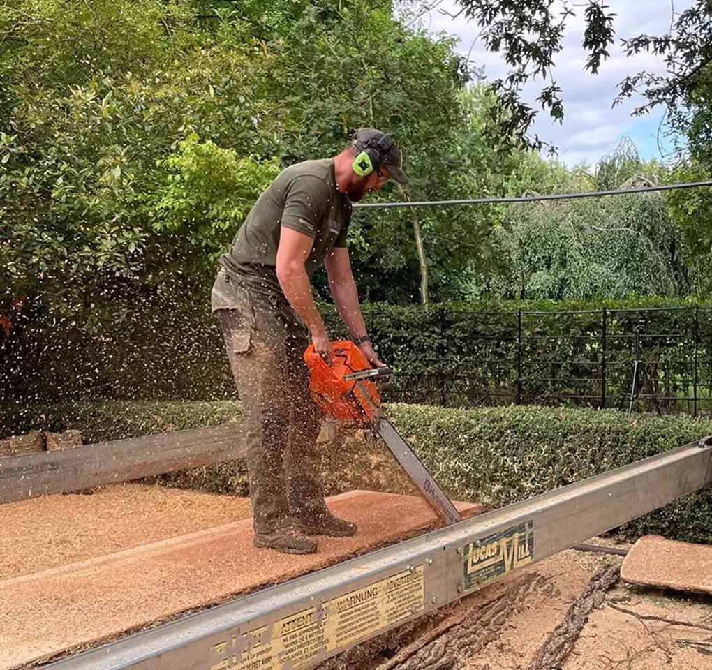Man wearing protective ear muffs and cap cutting a large log with an orange chainsaw outdoors.