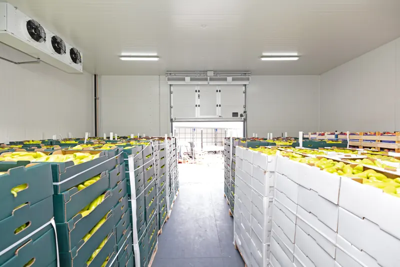 Boxes of fresh produce in a cold distribution warehouse