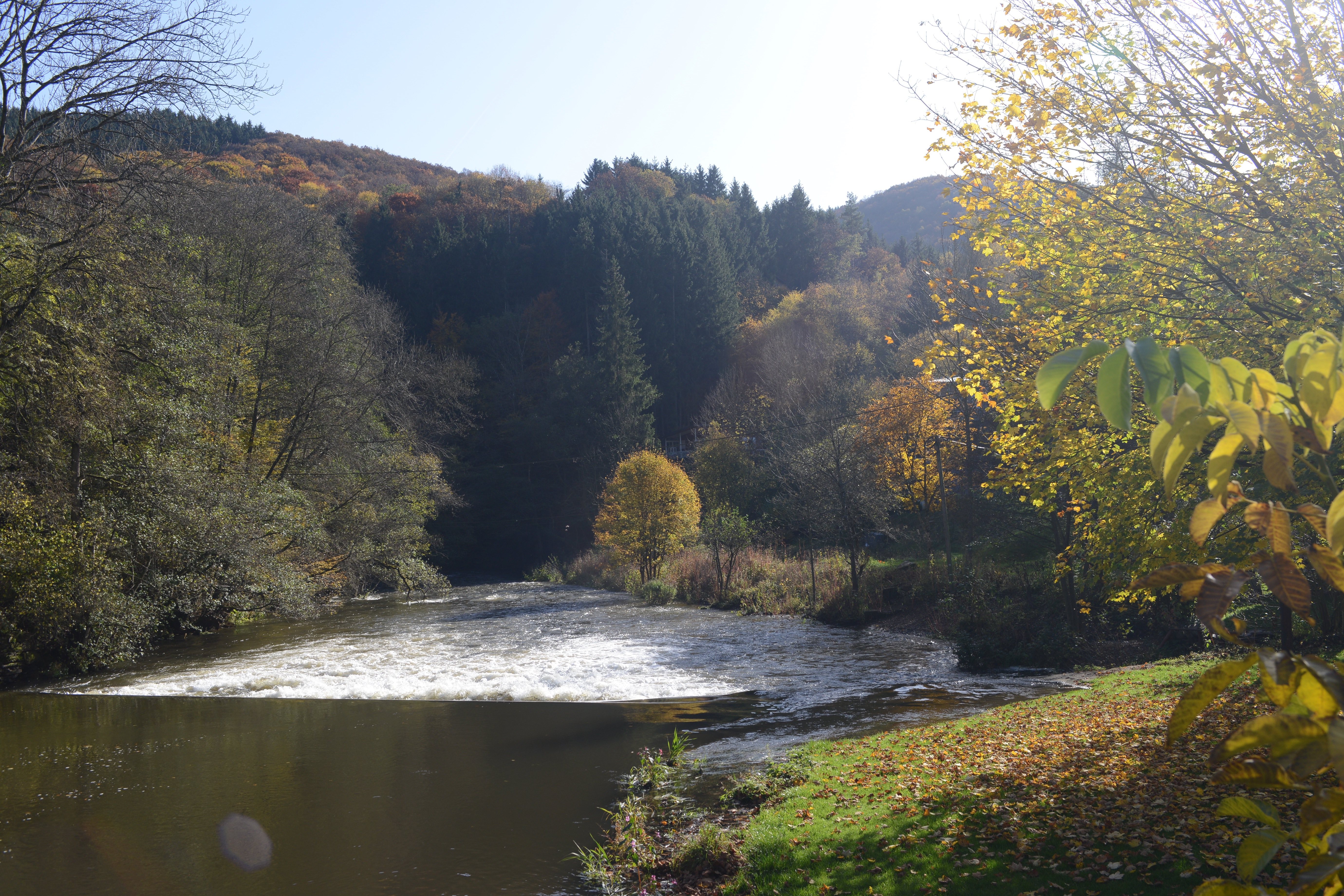River landscape and forest hiking trails in the Dirbach valley