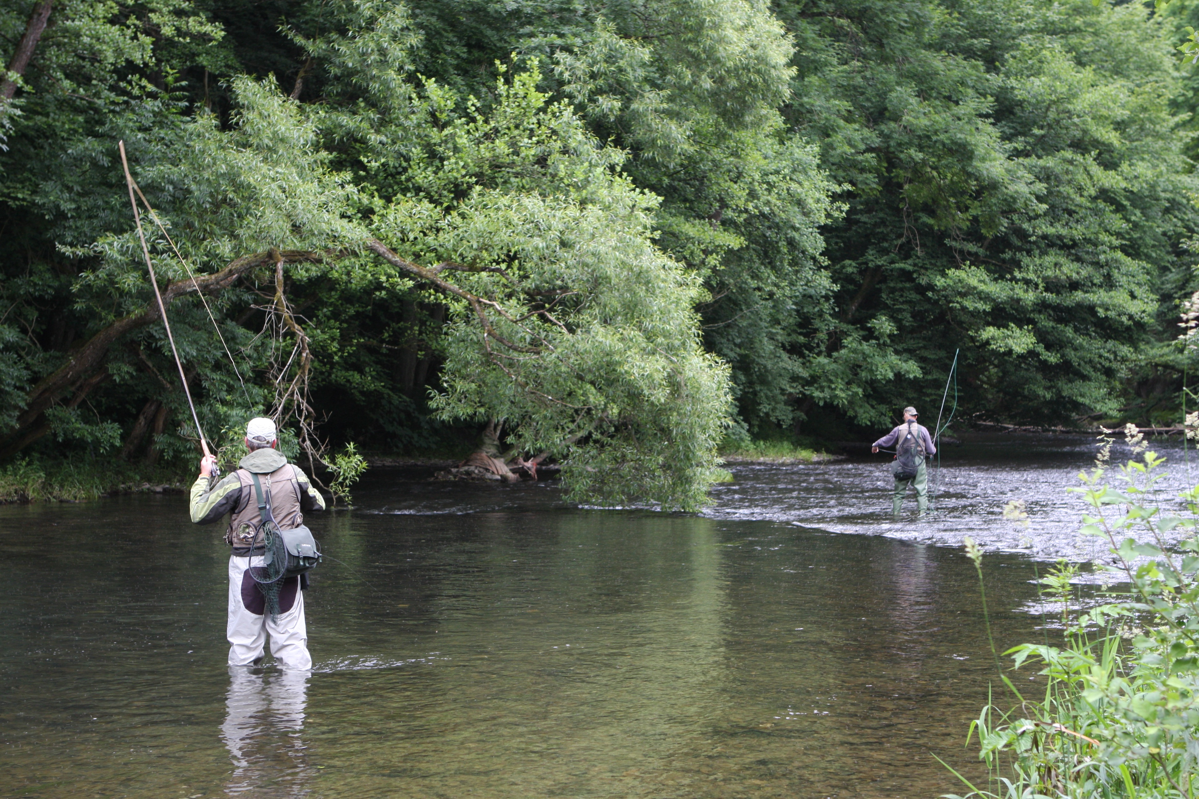 Fly fishing in the Sûre river near Hotel Dirbach Plage