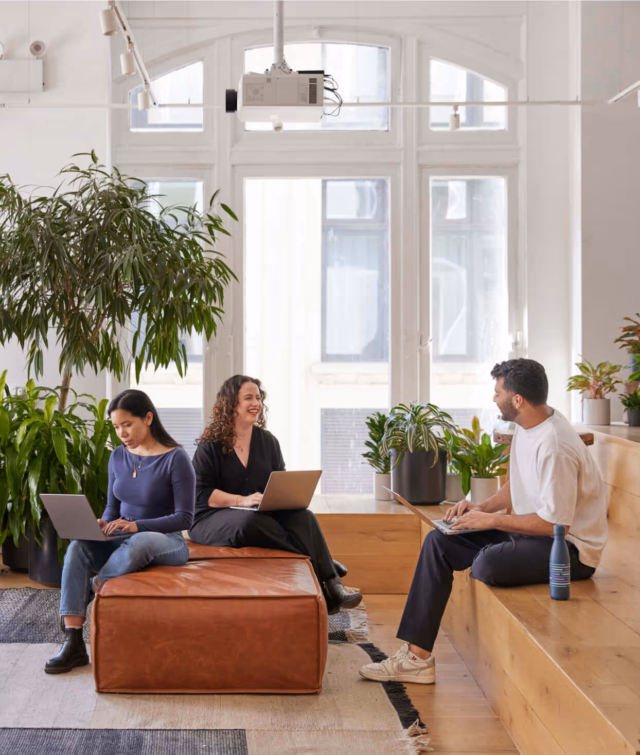 Sonas cash management software overview