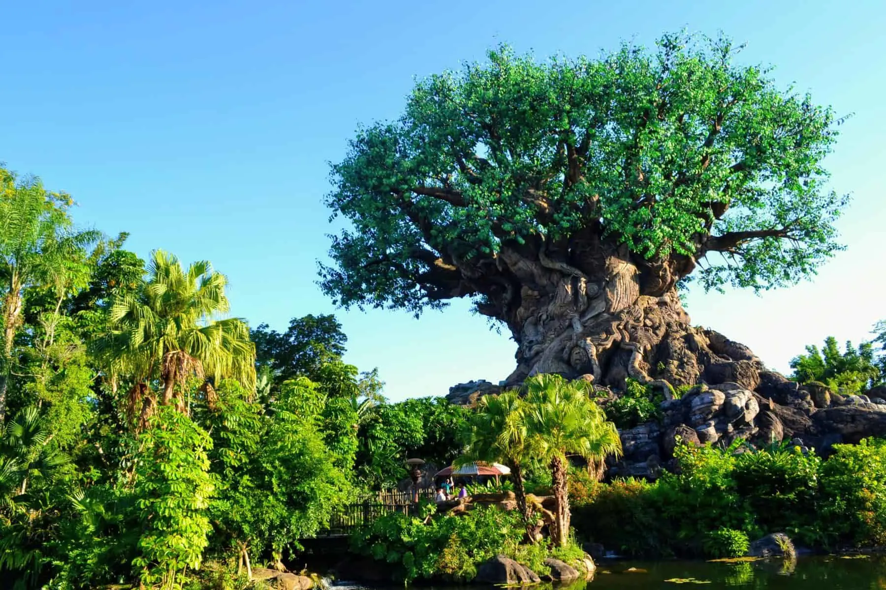 imagen del arbol de animal kingdom