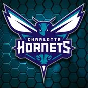 Charlotte Hornets logo featuring a stylized hornet with wings spread over a dark blue hexagonal honeycomb background.