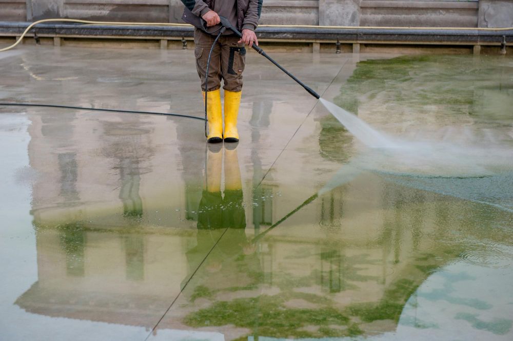 Mould, mildew, and algae removal