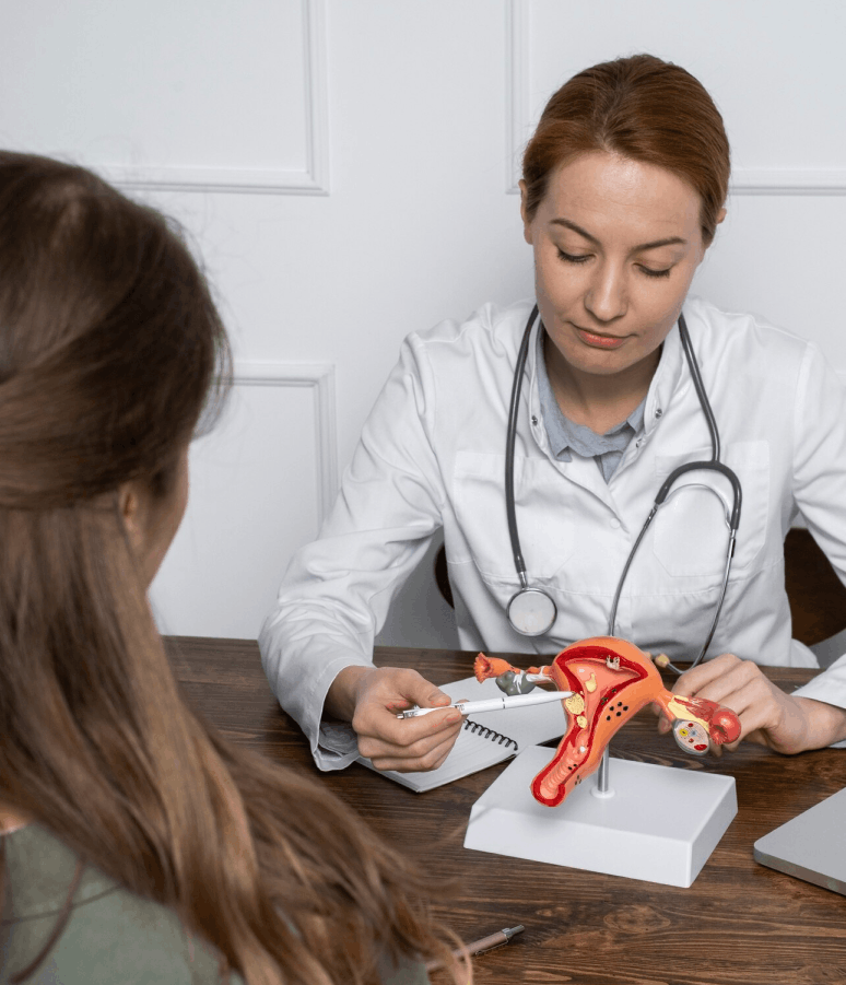Médecin expliquant l'anatomie féminine à l'aide d'un modèle d'utérus à une patiente.