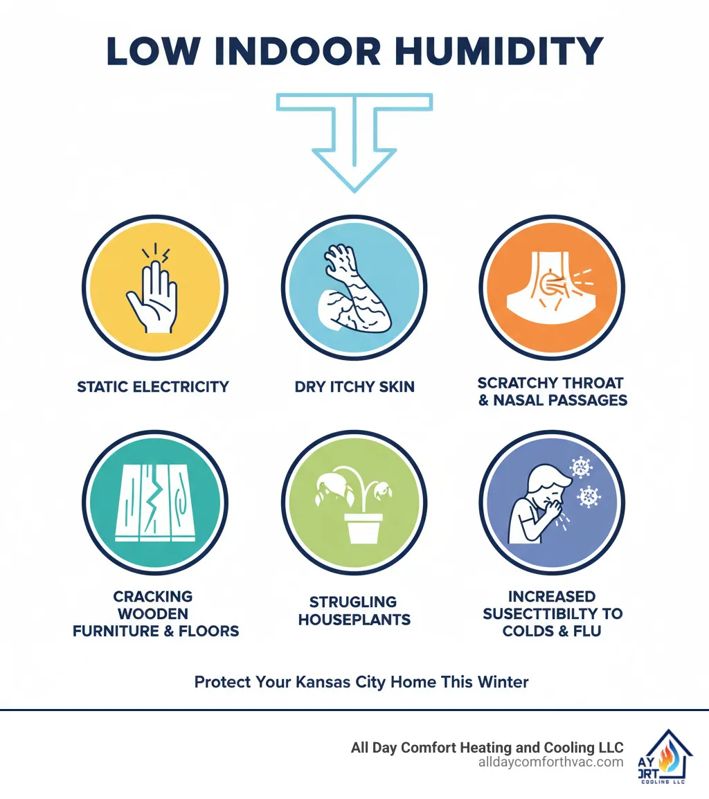 Infographic showing common signs of low indoor humidity including static electricity buildup, dry itchy skin, scratchy throat and dry nasal passages, cracking wooden furniture and floors, struggling houseplants, and increased susceptibility to cold and flu viruses - humidifier installation kansas city mo infographic 