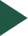 Solid dark green right-pointing triangle on a white background.