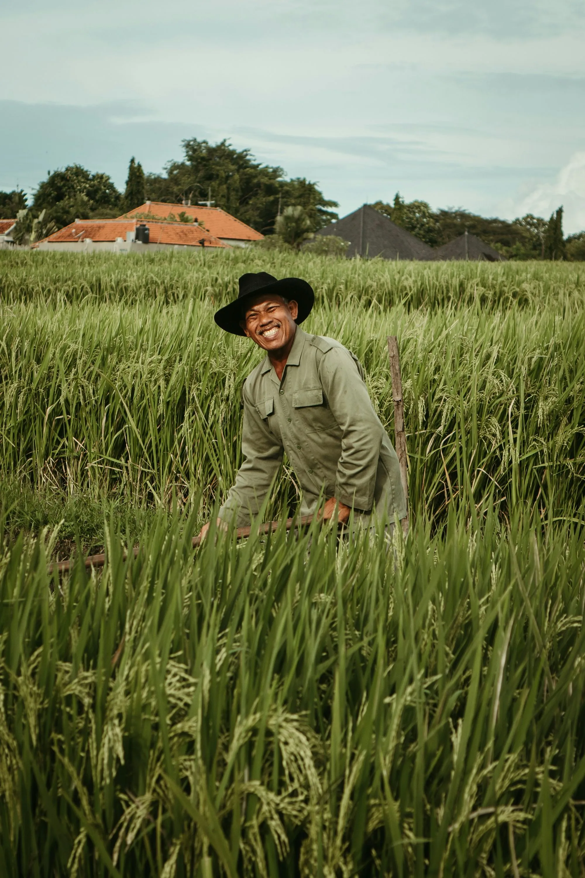 Man in Rice field