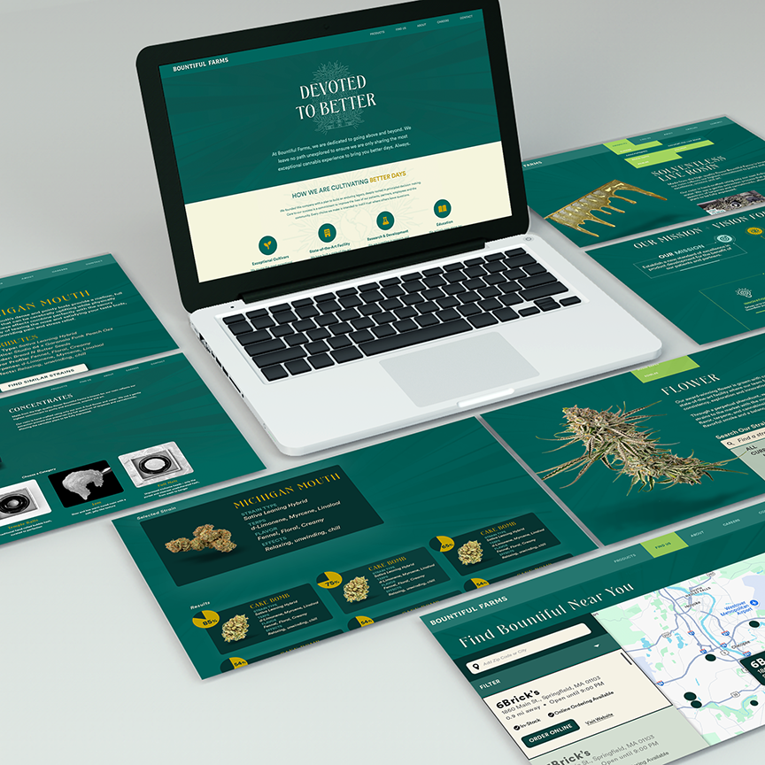webflow website redesign for clear user flow