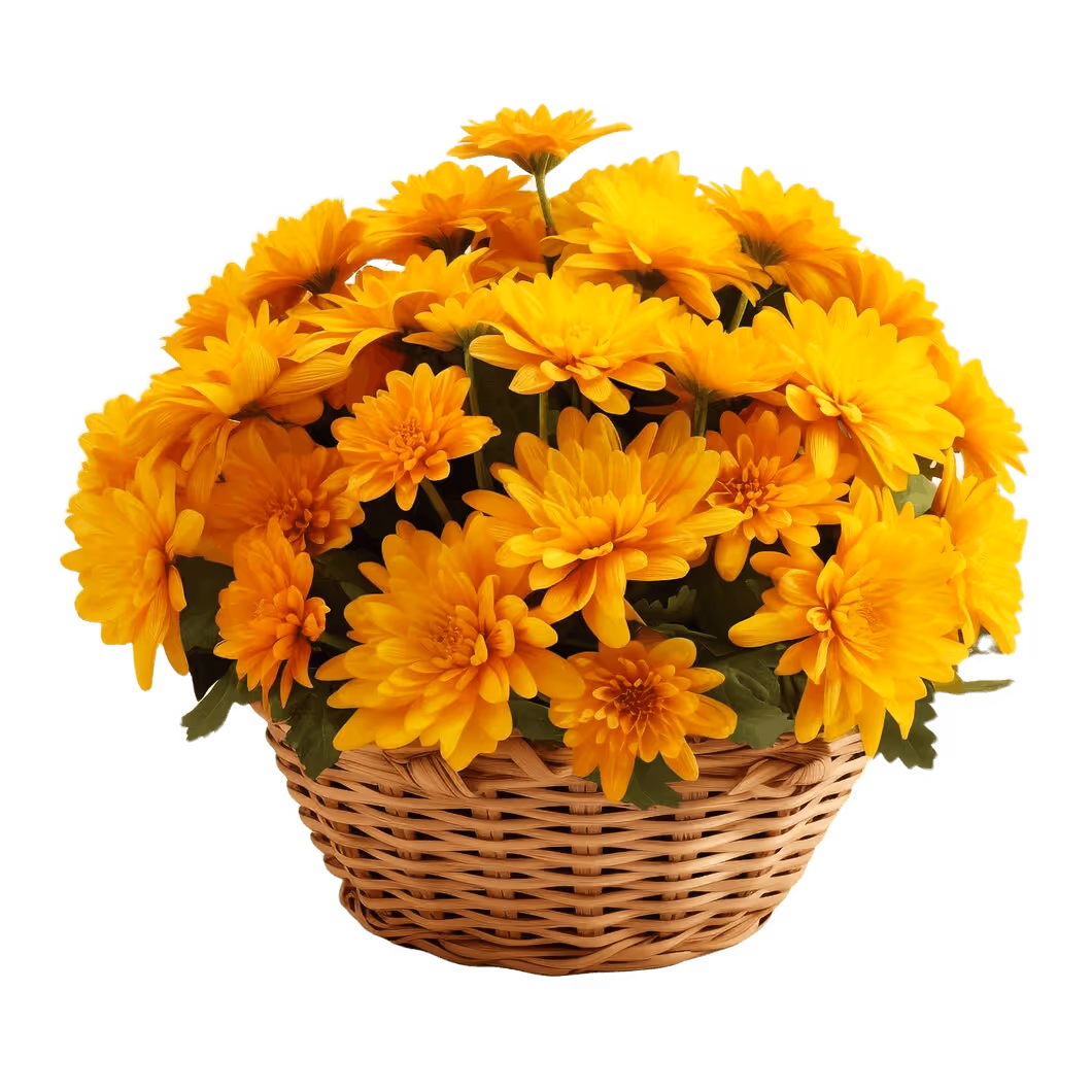A warm bouquet with deep orange, brown, and red tones. Brings a cozy autumn feeling to your space. 