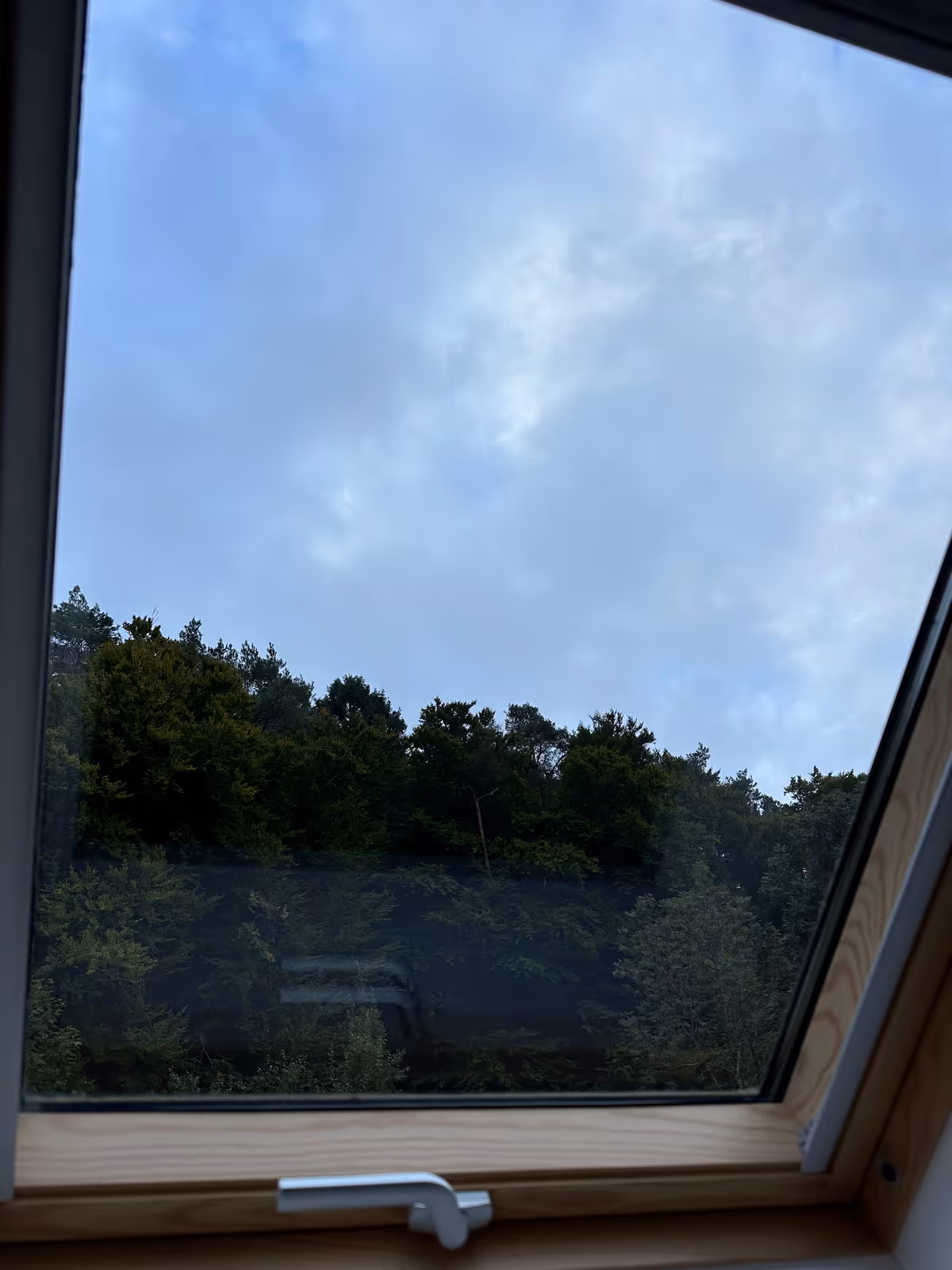 Blick aus einem Dachfenster auf bewölkten Himmel und grüne Bäume.