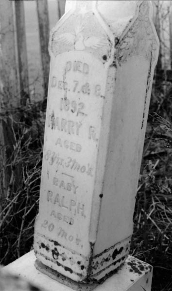 The marker at the graves of Harry and Ralph Black who died from diphtheria on December 7 & 8, 1892.