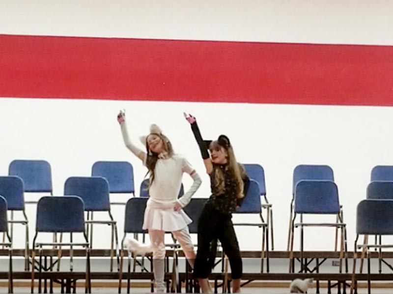 Last year’s second place act - Cat Dancing with Cats.Photo credit: Camille Collings.