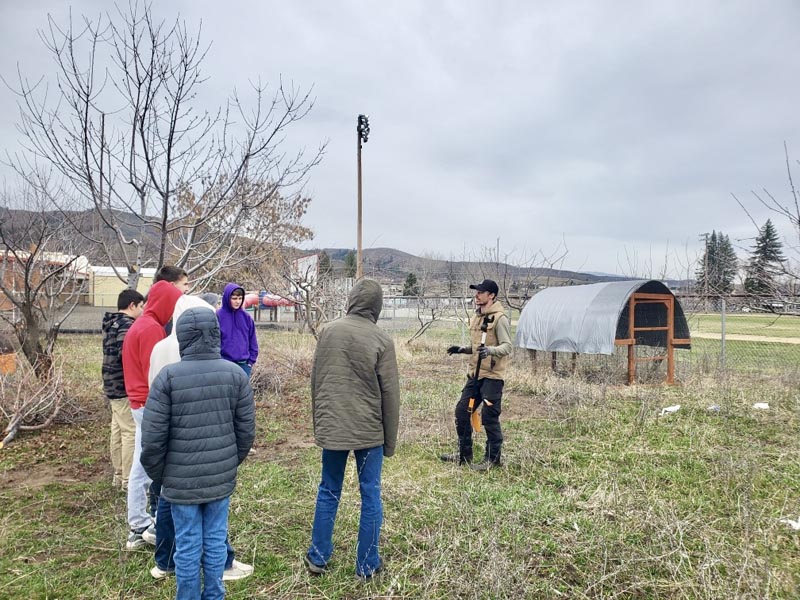 Graham Collings gives fruit tree pruning demonstrations to Council High School FFA students. Photo credit: Camille Collings.