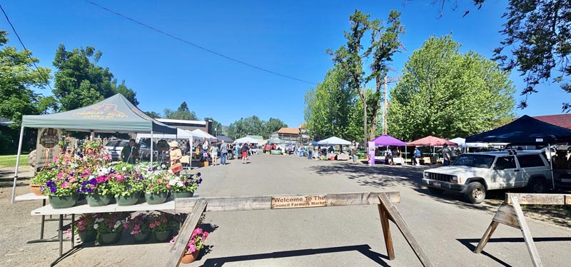 The Council Mountain Farmers Market kicked off the season on June 5 in Council. Markets will continue through the summer on the first and third Fridays of the month.Photo credit: Amanda Gratton.