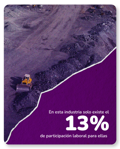 Proporción de fuerza laboral femenina en la industria minera y de petróleos