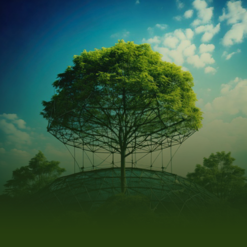 Árbol frondoso en un prado verde